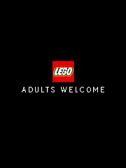 LEGO Adults